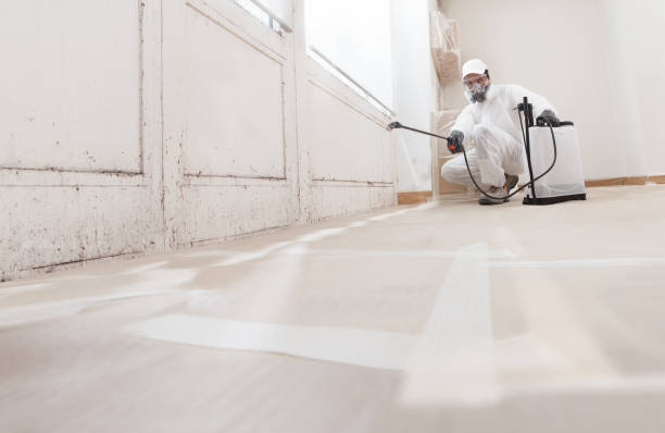 24/7 Emergency Mold Remediation experts in Columbus, GA